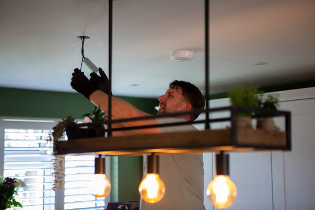 Best Electrician for Home Renovation  in Hawthorn Woods, IL