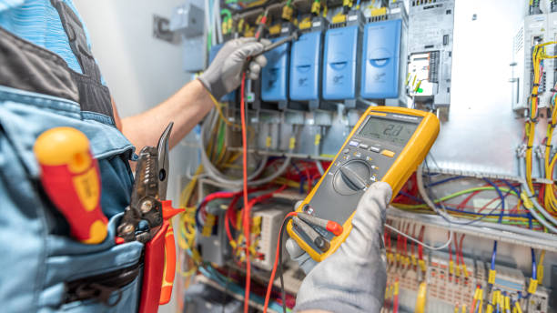 Best Electric Panel Repair  in Hawthorn Woods, IL